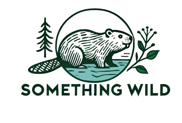 Something Wild